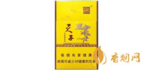 天子重庆香烟多少钱一包 天子重庆香烟价格表和图片一览