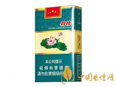 钻石软荷花多少钱一条 钻石软荷花价格查询一览