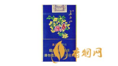 长白山金迎春香烟价格和图片 长白山金迎春香烟价格一览表