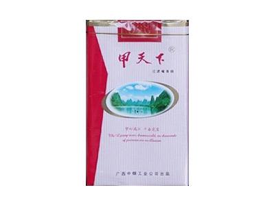 甲天下(醇和)