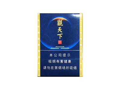 天子(观天下)