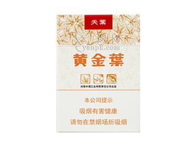 黄金叶(天叶中支)