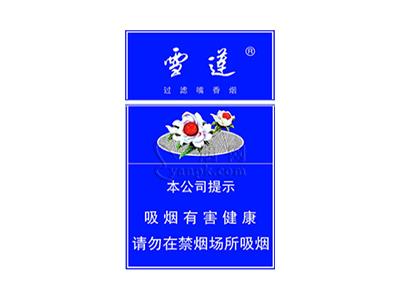 雪莲(蓝精品)