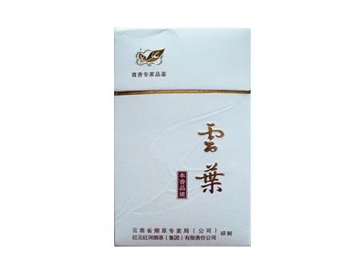 云烟(云叶)