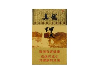 真龙(甲天下)