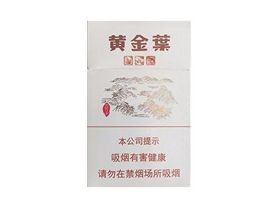 黄金叶(太行山)