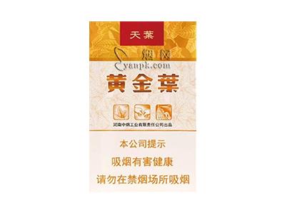 黄金叶(软天叶)