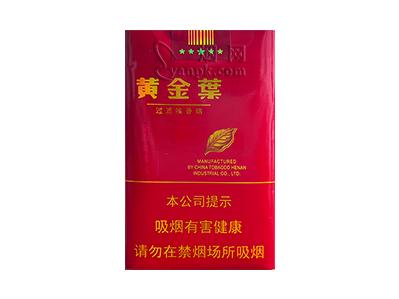 黄金叶(软红南阳)