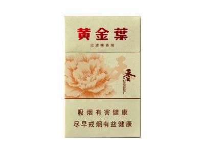 黄金叶(洛阳天香)
