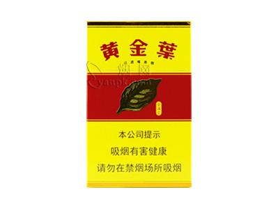黄金叶(金满堂)