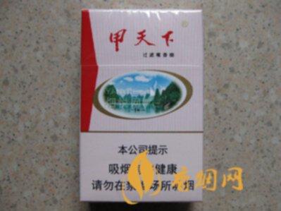 甲天下山水烟多少钱一包 甲天下山水香烟价格表