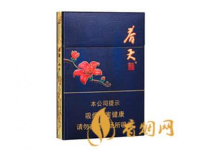 双喜春天烟多少钱一包 双喜春天香烟价格和图片一览