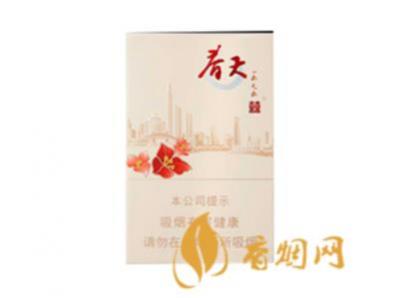 双喜春天1979香烟多少钱一盒硬盒香烟价格表
